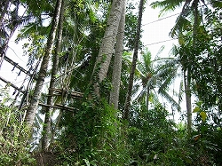 b0101284_19321534.jpg