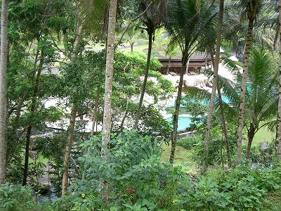 b0101284_1935377.jpg