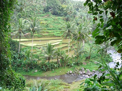 b0101284_19572750.jpg