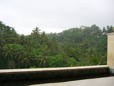b0101284_23462344.jpg
