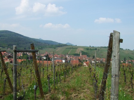f0007587_1036851.jpg