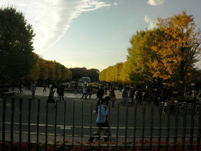 a0045688_23111614.jpg