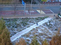a0079990_6522077.jpg