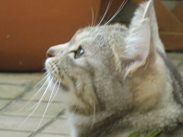 b0054391_7581690.jpg