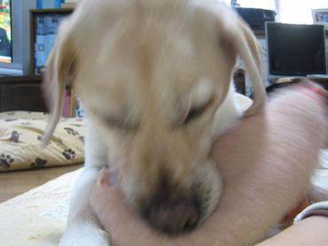 c0028792_10264399.jpg