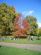 f0127098_5261544.jpg
