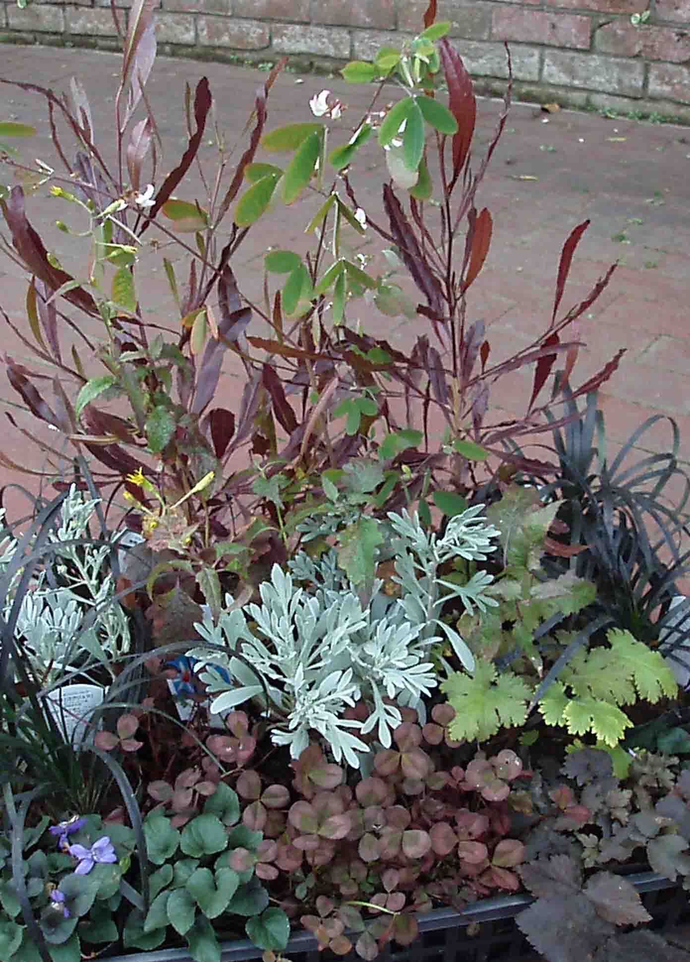 c0129702_029468.jpg
