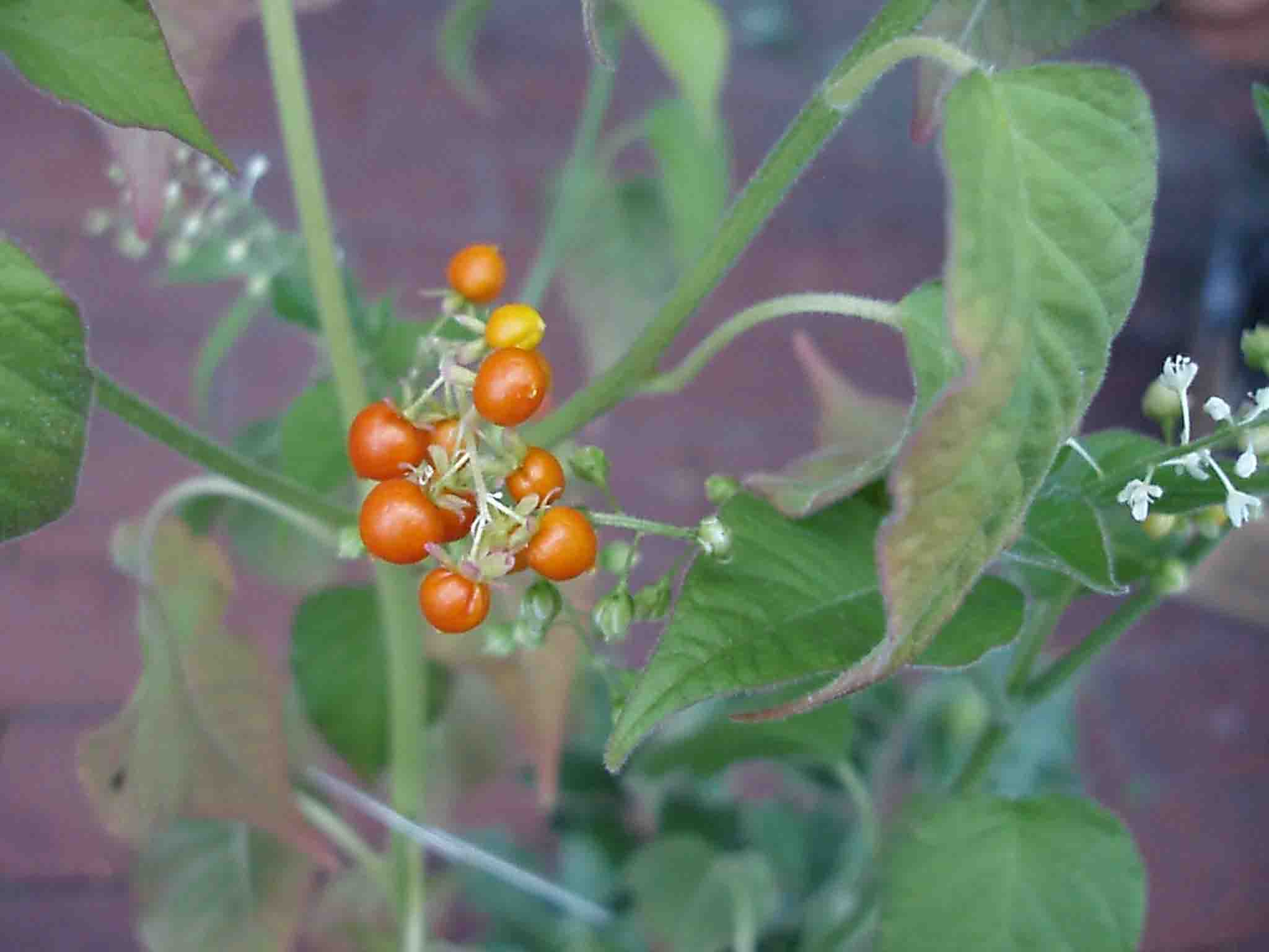 c0129702_035576.jpg