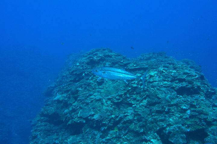 b0110406_137627.jpg