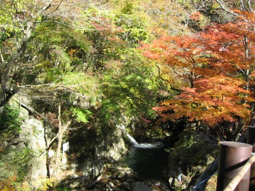 c0058606_002577.jpg