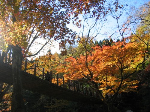 c0058606_042131.jpg