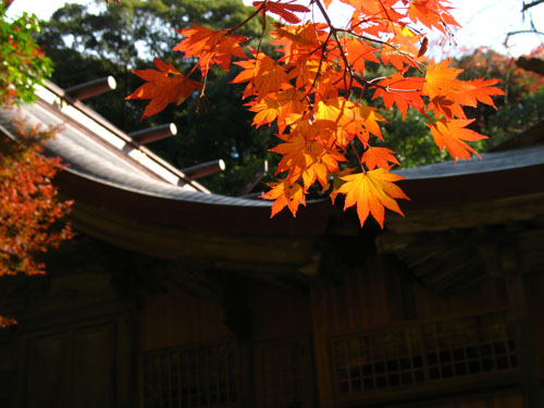 b0014607_20111875.jpg