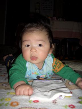 a0065309_0232521.jpg