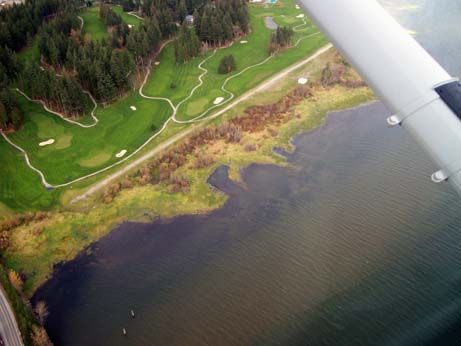 c0018716_439727.jpg