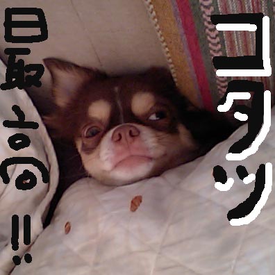 c0036617_18541942.jpg