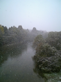 e0053317_18514042.jpg