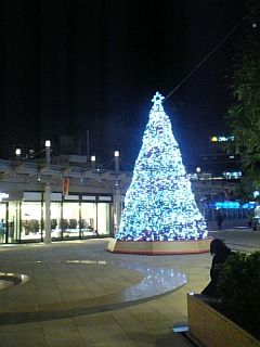 a0019322_043342.jpg