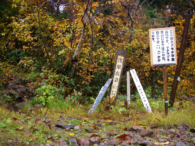 b0062024_2038769.jpg