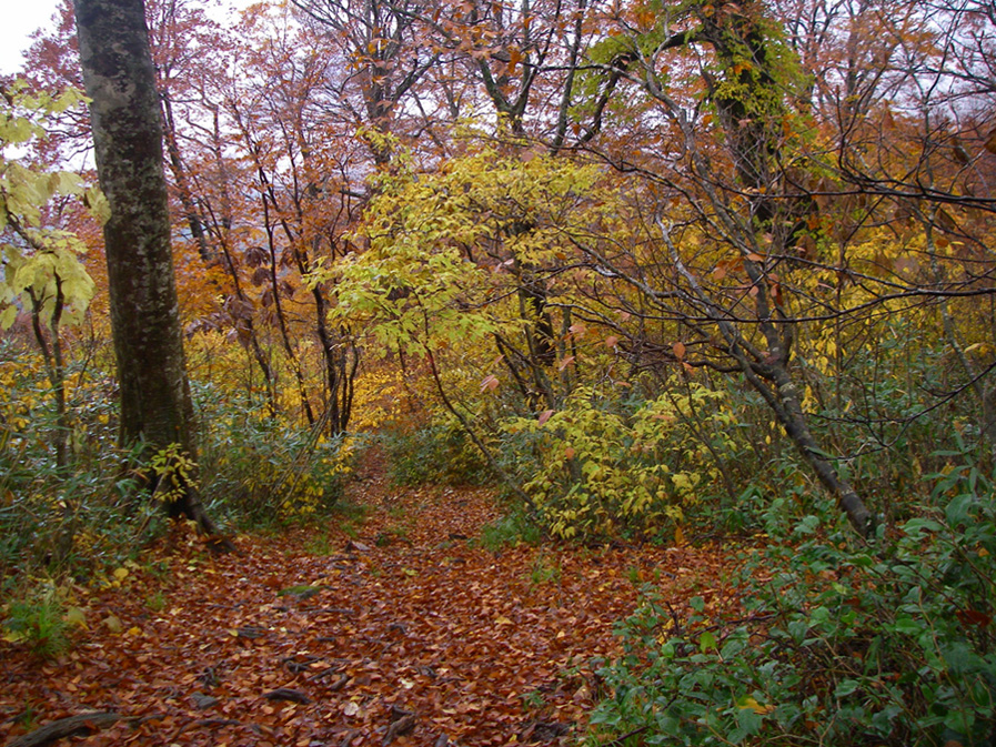 b0062024_20415991.jpg