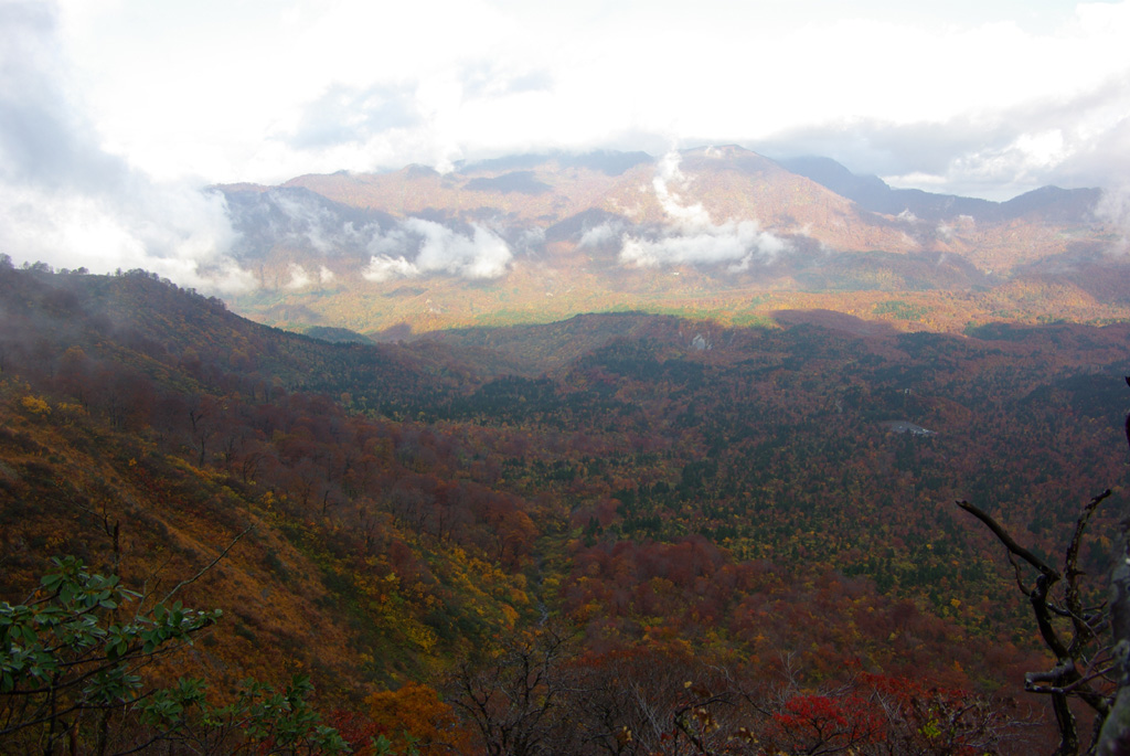 b0062024_2045380.jpg