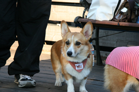 e0071225_338479.jpg
