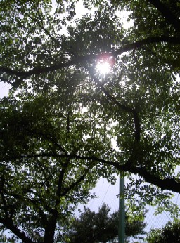 f0136828_9375487.jpg