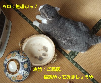 f0008935_14151664.gif