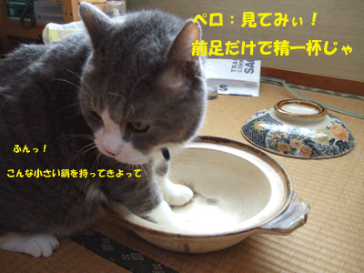 f0008935_14154035.gif