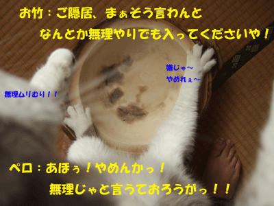 f0008935_14161879.gif