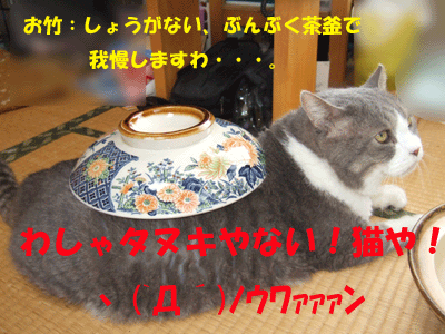 f0008935_14163468.gif