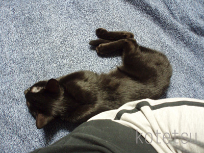 c0132438_2026578.jpg