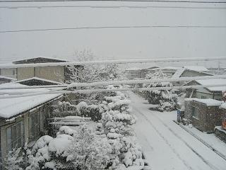 c0135739_20253734.jpg