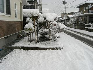 c0135739_20262234.jpg