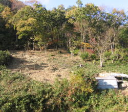 e0049740_19495089.jpg