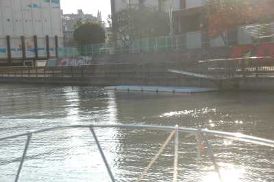 c0027849_19231546.jpg