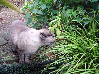 c0147952_2317911.jpg