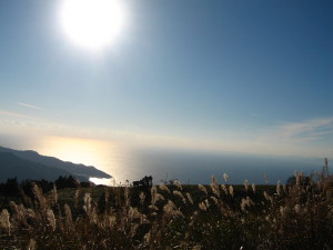e0113254_20382869.jpg