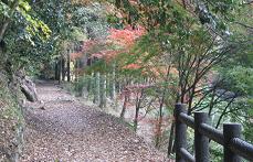 e0120156_13311337.jpg