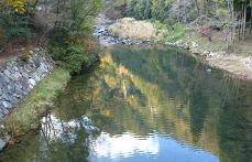 e0120156_13335666.jpg