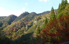 e0120156_13405117.jpg