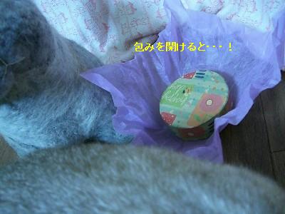 f0104057_21111984.jpg