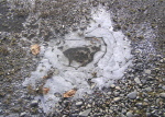 b0086858_14541696.jpg