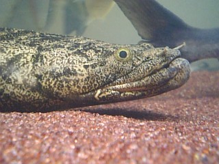 f0009758_2022529.jpg