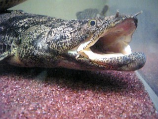 f0009758_2023991.jpg