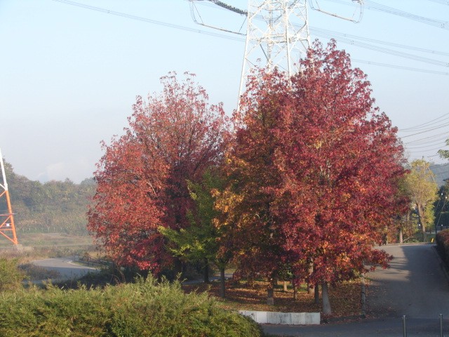 b0061261_22284345.jpg
