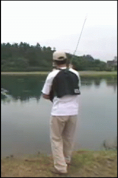 f0084561_11413985.gif