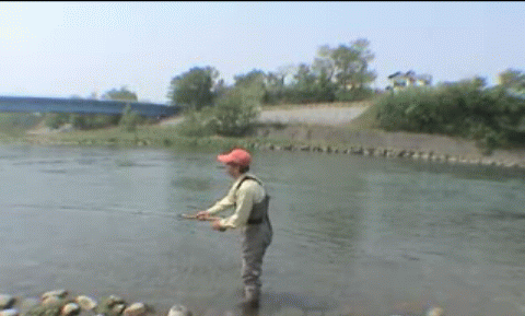 f0084561_1142377.gif