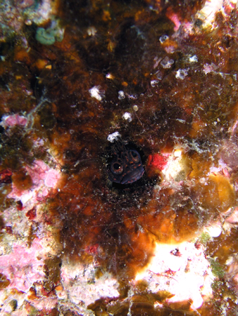 b0062363_19591310.jpg