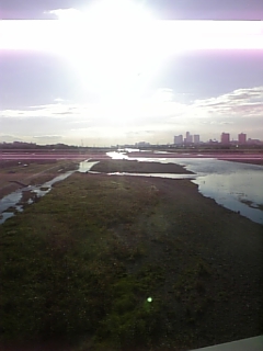 a0081471_10183432.jpg