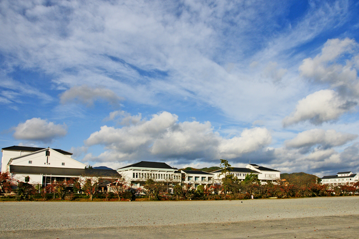 e0002371_17365527.jpg